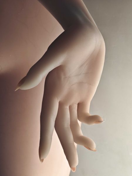 Show details for 157cm/5ft2 Silicone Sex Doll – Fukada Ryoko Picture of 157cm/5ft2 Silicone Sex Doll – Fukada Ryoko